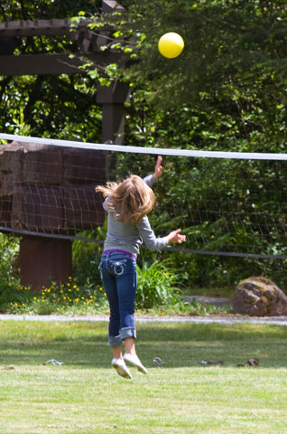 Volleyball Court