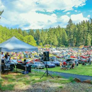 cruise-in-crowd_original
